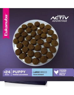 Eukanuba PUPPY - Large Breed x 15 kg. 2