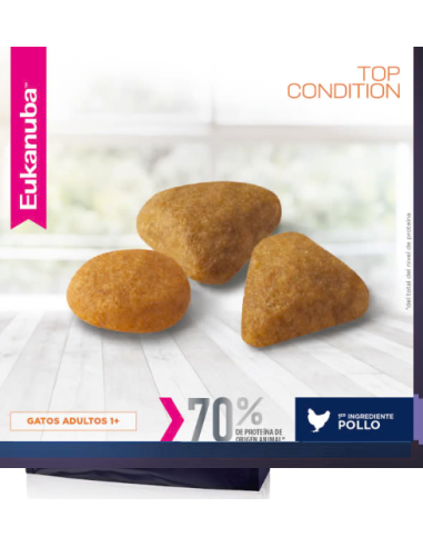 Eukanuba Top Condition - Gats adultos x 15 kg.