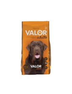 Valor adulto x 20 kg.