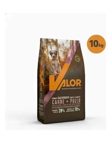 Valor cachorro x 10 kg.