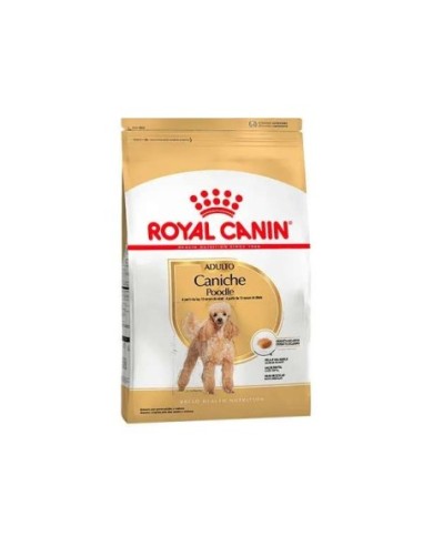 Royal Canin - Caniche adultos x 3 kg.