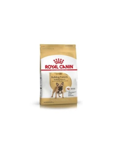 Royal Caninn - Bulldog Frances adulto x 3 kg.