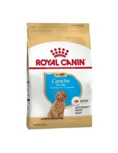 Caniche junior x 3 kg.