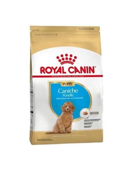 Royal Canin - Caniche Junior x 3 kg.