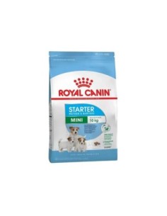 Mini starter x 3 kg.