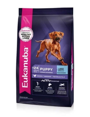 Eukanuba PUPPY - Large Breed x 15 kg.
